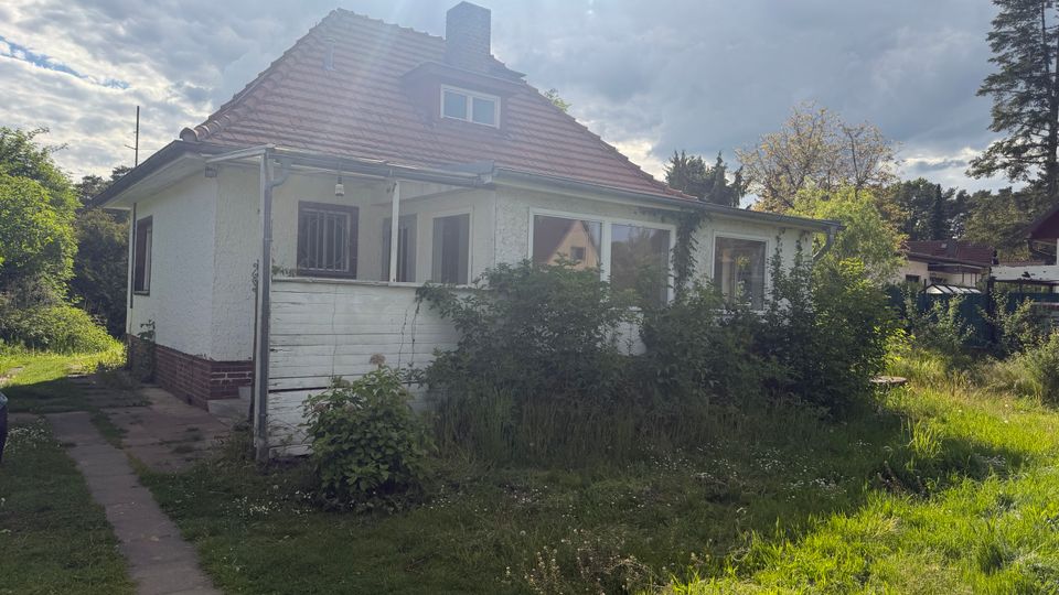 Einfamilienhaus mit weißer Putzfassade und rotem Ziegeldach, mit Wintergartenanbau und kleinen Dachfenstern. Davor liegt ein verwilderter Garten mit hohem Gras und Sträuchern, ein schmaler Gehweg führt am Haus entlang; im Hintergrund stehen Bäume unter bewölktem Himmel.