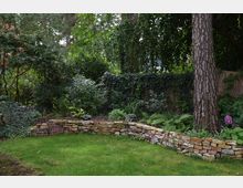 Ein gepflegter Garten mit Rasenfläche, einer niedrigen Mauer aus Natursteinen und dichter Bepflanzung, darunter Farne und Büsche, im Hintergrund. Ein großer Baum und rankender Efeu säumen den Bereich.