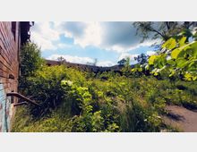Verlassene, überwucherte Außenanlage mit dichtem Pflanzenwuchs und hohen Gräsern vor einem flachen Gebäude mit dunklem Schrägdach; links im Bild eine Backsteinmauer mit Metallgeländer. Der Himmel ist teils bewölkt.