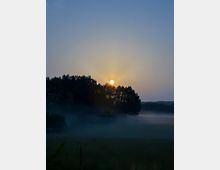 Eine Landschaft bei Dämmerung mit einem leuchtenden Vollmond, der hinter einer Baumreihe aufsteigt. Im Vordergrund ist eine nebeldurchzogene Wiese sichtbar.