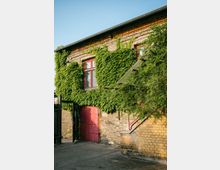 Ziegelfassade eines zweigeschossigen Gebäudes mit roten Fensterrahmen und einem roten Holztor, großflächig von Efeu überwuchert. Rechts führt eine gemauerte Treppe mit rotem Geländer an der Wand entlang; davor liegt ein asphaltierter Hof.