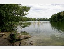 Ein ruhiger See, umgeben von dichtem Wald, mit einem umgefallenen Baumstamm am Ufer und Ästen, die aus dem Wasser ragen. Der Himmel ist leicht bewölkt, und das Wasser reflektiert die Umgebung.