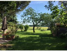 Blick in einen weitläufigen Garten mit Rasenfläche, einem zentralen Baum und umgebenden Sträuchern sowie hohen Bäumen am Rand. Links stehen ein geschlossener Sonnenschirm und mehrere Pflanzkübel auf einer Terrasse, rechts ist ein kleines Holzgebäude zu sehen; im Hintergrund liegen offene Felder unter blauem Himmel.