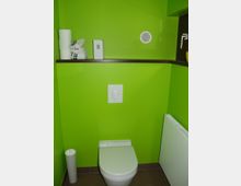 Toilette mit grüner Wandfarbe, einem weißen WC und einem weißen Spülknopf in der Wand. Ein Regal oberhalb enthält gerolltes Toilettenpapier, Handtücher und ein kleines Objekt; ein Heizkörper befindet sich rechts.