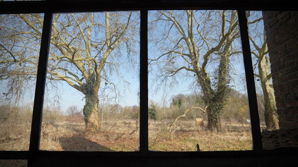 Blick durch ein großes, schwarz gerahmtes Fenster aus einem Backsteingebäude auf eine offene Wiese mit kahlen Bäumen, teils mit Efeu bewachsen, unter blauem Himmel. Im Hintergrund sind ein niedriger Waldrand und ein rundes Objekt wie ein Heuballen oder Betonelement zu sehen.