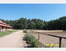 Ein ländlicher Reitstall mit einem langgestreckten Gebäude aus Holz und rotem Dach links, einem Sandplatz rechts und einem Weg in der Mitte, umgeben von Bäumen und Wald im Hintergrund.