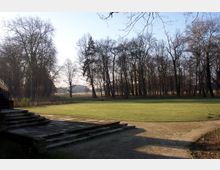 Weitläufige Rasenfläche in einer Parklandschaft, umgeben von einer Reihe kahler Laubbäume. Im Vordergrund führen Steinstufen von einer Plattform hinunter, während im Hintergrund offene Felder sichtbar sind.