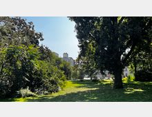 Grüne Parklandschaft mit großen Bäumen und dichtem Gebüsch im Vordergrund, im Hintergrund sind moderne Gebäude und helle Himmel sichtbar. Sonnenlicht fällt durch das Blätterdach und erzeugt Schatten auf der Wiese.