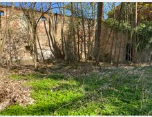 Überwucherter Innenhof einer verfallenen Backsteinruine mit hohen Mauerresten und kleinen Öffnungen. Vor der Mauer stehen zahlreiche dünne Bäume und Sträucher, der Boden ist mit Laub und grünem Bewuchs bedeckt.