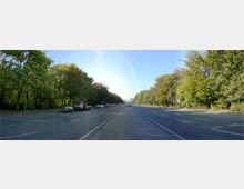 Eine breite, langgestreckte Straße mit mehreren Fahrspuren, getrennt durch einen Mittelstreifen aus Kopfsteinpflaster, gesäumt von dichten, grünen Bäumen auf beiden Seiten. Vereinzelt parkende Autos und eine klare Sicht auf den blauen Himmel im Hintergrund.