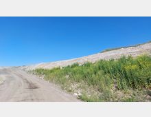 Ein unbefestigter Weg führt an einem Hang vorbei, der teils mit karger Erde und teils mit grünen Pflanzen und gelben Blüten bedeckt ist, unter einem klaren blauen Himmel.