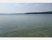 Ein stiller See mit klarem Wasser und leicht erkennbaren Pflanzen am Grund, im Hintergrund eine bewaldete Uferlinie und vereinzelt Segelboote unter einem leicht bewölkten Himmel.