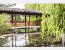 Überdachte Holzbrücke in traditionellem asiatischen Stil mit roten Holzgeländern und dekorativen Gittermustern, umgeben von Bäumen und hängenden Weiden, die sich über einem ruhigen Teich spiegelt.