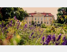 Ein historisches Herrenhaus mit gelb-beiger Fassade und rotem Dach steht inmitten einer parkähnlichen Umgebung. Im Vordergrund befinden sich blühende lila Blumen, umgeben von grünem Laub.