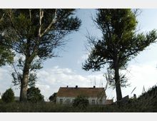 Wohnhaus mit roten Ziegeldach, umgeben von hohen Bäumen und dichter Wiese im Vordergrund, unter einem leicht bewölkten Himmel.