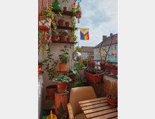 Gemütlicher, bepflanzter Balkon mit hängenden und stehenden Töpfen voller grüner Pflanzen, einem gelben Stuhl, einem Holztisch und einer Regenbogenflagge im Hintergrund. Im Vordergrund sind ein Baumstumpf als Pflanzständer und eine Disco-Kugel zu sehen, während im Hintergrund Ziegeldächer und Häuser erkennbar sind.