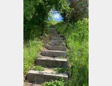 Betontreppe, die einen grasbewachsenen Hügel hinaufführt, umgeben von dichtem Grün und Bäumen, mit einem Blick auf den blauen Himmel durch das Blätterdach.