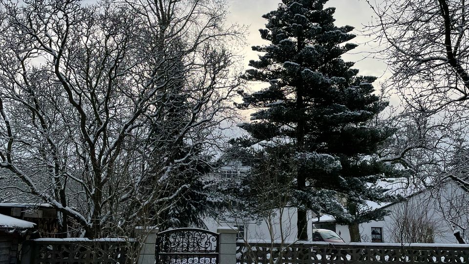 Verschneiter Garten mit hohem Nadelbaum und kahlen Laubbäumen hinter einer niedrigen Betonmauer mit Ornamentmuster und einem schmiedeeisernen Tor. Im Hintergrund sind ein Wohnhaus und weitere Grundstücke unter bewölktem Himmel zu sehen.