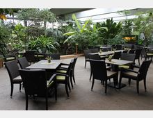 Ein Cafébereich mit mehreren Tischen und Stühlen aus dunklem Rattan, dekoriert mit kleinen Pflanzen. Umgeben ist der Bereich von üppiger tropischer Vegetation in einem überdachten Innenraum mit großen Fenstern.