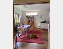 Esszimmer mit Holzboden, rotem Teppich und einem Esstisch mit vier Stühlen. Im Hintergrund stehen ein rustikaler Holzschrank und eine kleine moderne Küche; ein Hund liegt auf dem Teppich.