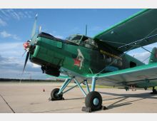 Grünes Doppeldeckerflugzeug vom Typ Antonow An-2 auf einem Flugplatz, mit rotierendem Propeller und gemaltem Motiv einer Frau auf der Flugzeugseite. Im Hintergrund ist eine ebene Betonfläche, eine Wiese und ein bewölkter Himmel zu sehen.