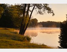Ufer eines ruhigen Sees im Morgenlicht mit Nebelschwaden über dem Wasser, umgeben von Bäumen und Wiesen; im Hintergrund ein Gebäude hinter dichtem Wald sichtbar.