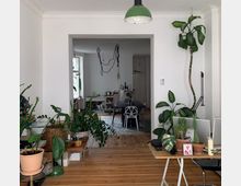 Ein heller Wohnraum mit Holzboden, zahlreichen Zimmerpflanzen und einer weißen Wand mit Durchgang zum Essbereich im Hintergrund. Der Essbereich enthält einen dunklen Tisch, Stühle und eine Hängelampe; an der Decke hängen Kabel und Gegenstände.