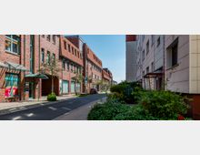 Straßenszene in einem städtischen Wohn- und Büroviertel mit Backstein- und Putzfassaden, schmalem Gehweg, kleinen Bäumen, Blumenbeeten und einem geparkten Auto auf der Straße. Im Vordergrund einige begrünte Bereiche und moderne Fensterfronten auf beiden Seiten.