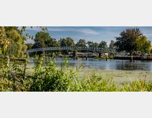 Eine Metallbrücke überspannt einen Fluss in einer grünen Landschaft mit Bäumen. Im Vordergrund befinden sich Wasserpflanzen und Gräser, während im Hintergrund Gebäude am Ufer sichtbar sind.