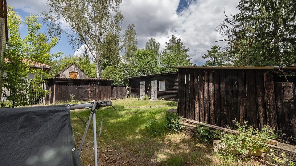 Hofbereich mit mehreren dunklen Holzschuppen und kleinen Nebengebäuden, umgeben von hohen Bäumen und dichter Vegetation. Im Vordergrund liegt eine Wiese mit vereinzelten Pflanzen, darüber ein teils bewölkter Himmel.