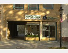 Außenansicht eines Hundesalons in einem Wohn- oder Geschäftshaus mit sandfarbener Fassade. Über dem Schaufenster steht "Hundesalon Krüger", daneben ein Logo mit einem gezeichneten Hund, im Schaufenster ein Dekor mit grünem Stoff und Hundemodellen. Rechts befindet sich ein Schild mit den angebotenen Dienstleistungen wie Trimmen, Scheren und Baden.