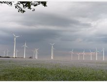 Windpark mit zahlreichen weißen Windkraftanlagen mit roten Markierungen, die sich über ein weites Feld mit blühenden violetten Blumen erstrecken, unter einem bewölkten Himmel. Im Hintergrund ist eine flache Landschaft zu erkennen.