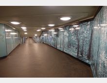 Ein unterirdischer Fußgängertunnel mit beleuchteter Decke und Wänden, die mit einem großflächigen Waldmotiv gestaltet sind. Der Boden ist glatt und asphaltiert, mit einem leichten Gefälle und einer einzelnen Person in der Ferne.