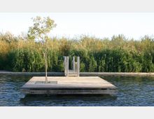 Eine kleine Holzplattform mit einem jungen Baum in der Mitte schwimmt auf einem Gewässer, umgeben von hohen Schilfpflanzen im Hintergrund. Im hinteren Bereich der Plattform führt eine schmale Holzbrücke mit Seilgeländern zu einer Böschung.