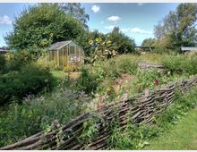 Ein naturnaher Garten mit einem kleinen Gewächshaus im Hintergrund, umgeben von dichtem Grün, bunten Blumen und sonnenblumengesäumten Beeten. Im Vordergrund steht ein niedriger, geflochtener Holzzaun, der die Vegetation einrahmt.
