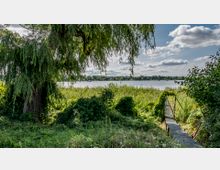 Ein grüner Uferbereich mit dichtem Bewuchs, einer großen Trauerweide links und hohem Schilf, das einen metallenen Steg umrahmt, der zum Wasser führt. Im Hintergrund ist ein ruhiger See mit bewaldetem Ufer und vereinzelten Gebäuden erkennbar, darüber ein blauer Himmel mit weißen Wolken.
