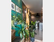 Holzstatue einer stehenden Frau mit erhobenen Armen, umgeben von zahlreichen Zimmerpflanzen in Töpfen. Im Hintergrund eine moderne Küche mit grauen Wänden und einer schwarzen Dunstabzugshaube.