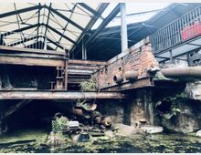 Ruinen eines alten Industriegebäudes mit rostigen Stahlträgern, roten Ziegelmauern und einem teilweise überdachten Dach aus Metall und Planen. Im Vordergrund befindet sich ein von Algen bedecktes Wasserbecken mit alten Maschinenteilen und überwucherten Pflanzen.