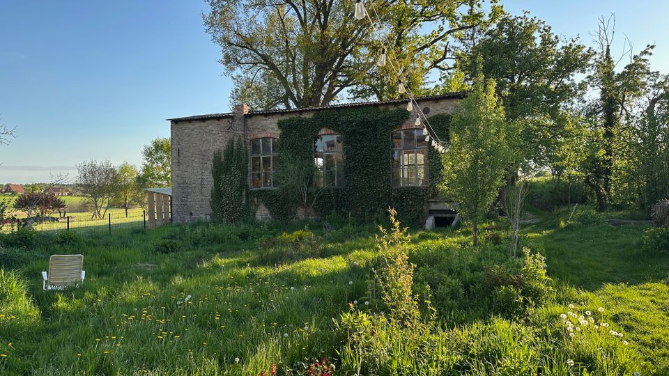 Backsteingebäude mit großen, bogenförmigen Fenstern, dessen Fassade teilweise von Efeu überwachsen ist, inmitten einer ländlichen Wiese. Im Vordergrund liegen hohes Gras und Wildblumen, darüber sind Lichterketten gespannt, umgeben von Bäumen und offenem Himmel.