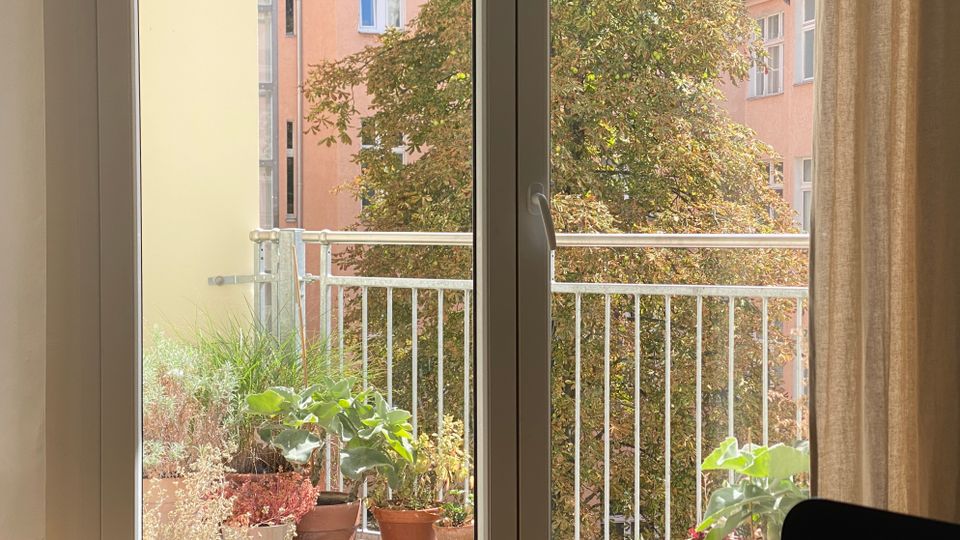 Blick durch eine große Glas-Balkontür auf einen kleinen Balkon mit Metallgeländer und mehreren Topfpflanzen. Im Hintergrund sind ein großer Baum und die Fassade eines gegenüberliegenden Wohnhauses zu sehen.