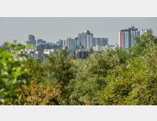 Städtische Skyline mit modernen Hochhäusern, im Vordergrund dicht bewaldete Grünflächen. Die Gebäude variieren in Höhe und Fassade, darunter auch einige farblich abgesetzte Wohnkomplexe.