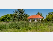 Kleines weißes Haus mit rotem Ziegeldach, umgeben von hohem Gras und Bäumen, darunter Tannen und Laubbäume, an einem sonnigen Tag. Im Vordergrund eine Wiese mit dichter Vegetation.