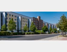 Reihenweise moderne Wohngebäude mit Flachdächern und farblich variierenden Fassaden (beige, weiß und rotbraun), flankiert von Bäumen und Hecken entlang einer Straße mit Bürgersteig. Vor den Gebäuden sind geparkte Autos und ein Fahrradweg erkennbar.