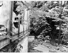 Schwarz-weiß-Aufnahme einer verfallenen Backsteinmauer mit zerbrochenen Fenstern, umgeben von dichtem Laub und Bäumen in einer bewachsenen, natürlichen Umgebung.