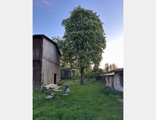 Blick in einen ländlichen Hofgarten mit großer blühender Kastanie auf einer Rasenfläche, daneben ein hölzerner Scheunenbau und ein kleiner verputzter Nebenschuppen. Im Vordergrund stehen Gartenstühle und ein runder Tisch, im Hintergrund ein begrüntes Gebäude mit Fensterfront.