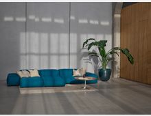 Ein moderner Wohnraum mit einer blauen Ecksofa auf einem hellen Teppich, einer großen Zimmerpflanze in einem runden, grünen Topf und einem kleinen Holztisch. Die Wände bestehen aus grauem Beton, und eine hölzerne Wandverkleidung ist auf der rechten Seite sichtbar.