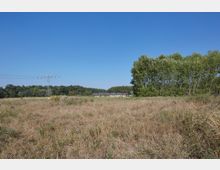 Weite Wiesenlandschaft mit vertrocknetem Gras, rechts eine Reihe dichter Bäume und links ein Strommast mit darüber verlaufenden Hochspannungsleitungen. Im Hintergrund sind dichte Wälder und ein großes, flaches Gebäude zu sehen, alles unter klarem, blauem Himmel.