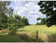 Weite Wiesenlandschaft mit hohem Gras, umgeben von Bäumen am Rand eines Waldes. Im Vordergrund stehen ein alter Holzpfosten und niedriges Gebüsch, darunter ein Zaun; der Himmel ist teils bewölkt.