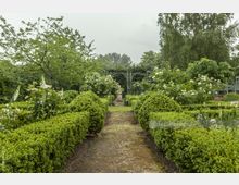 Ein gepflegter Garten mit einem geraden Weg, der von niedrigen Buchsbaumhecken und blühenden Pflanzen gesäumt ist. Im Hintergrund sind hohe Bäume und ein schmiedeeisernes Tor mit Rosenbüschen zu sehen.