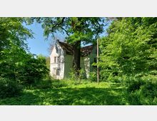 Ein altes, weißes Haus mit spitzem Dach steht inmitten dichter grüner Vegetation und wird von einem großen Baum direkt davor dominiert. Es liegt in einer bewaldeten Umgebung mit überwuchertem Gras und Sträuchern.